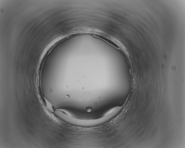 X0000083981136200703161550