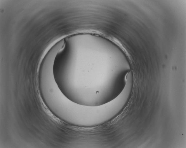 X0000083981140200703161550