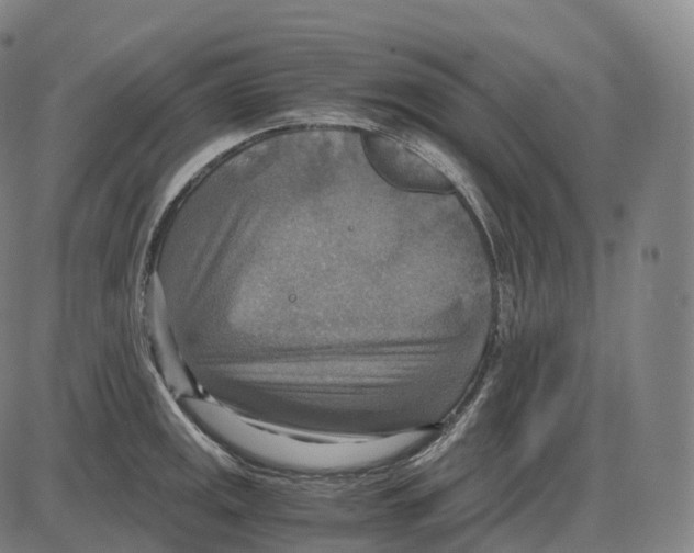 X0000083981141200703161550