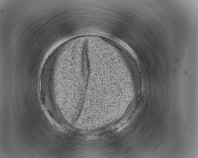 X0000083981144200703161550