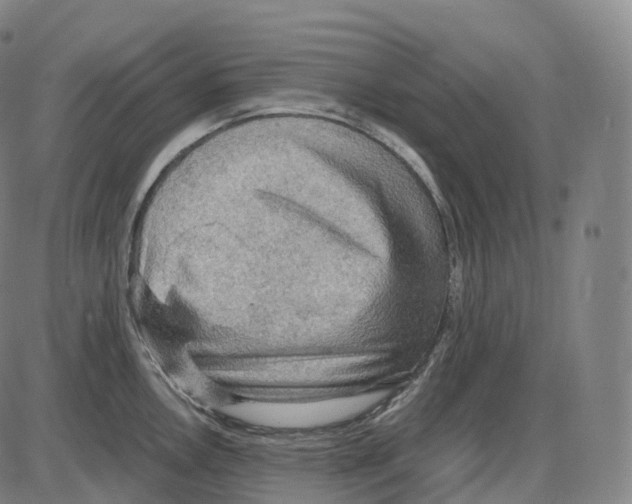 X0000083981146200703161550