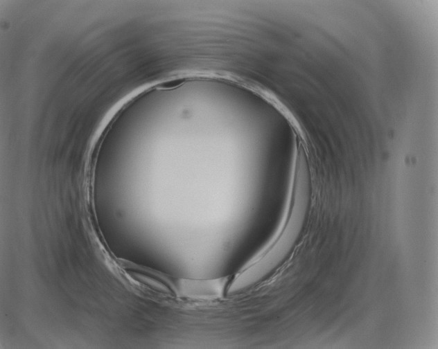 X0000083981148200703161550