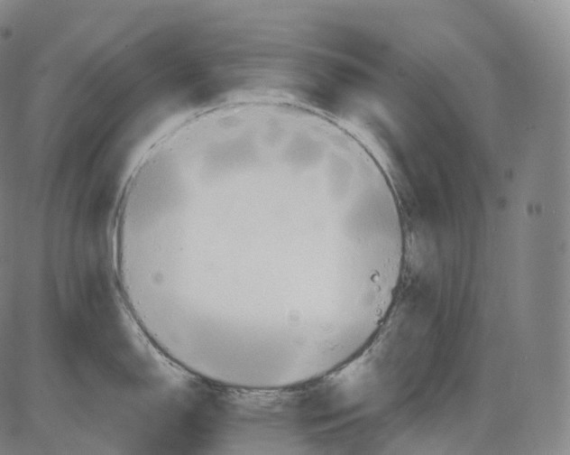 X0000083981150200703161550