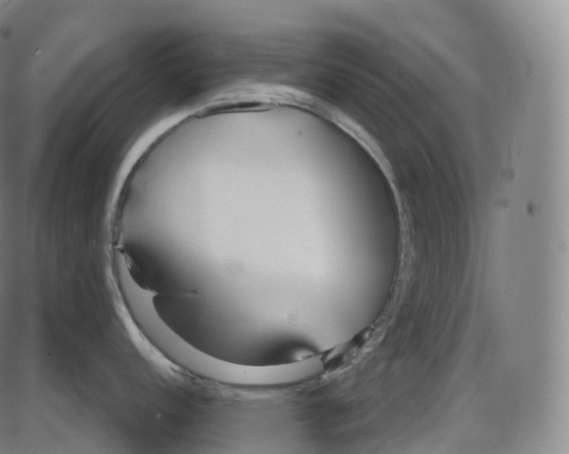 X0000083981152200703161550