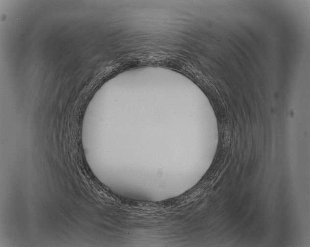 X0000083981153200703161550