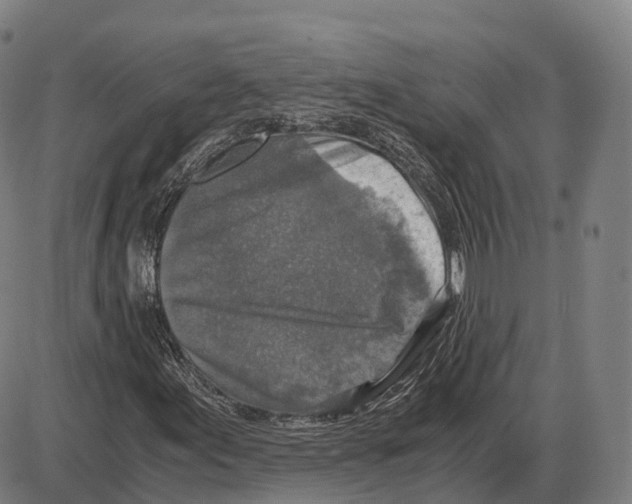 X0000083981155200703161550