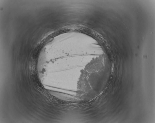 X0000083981158200703161549