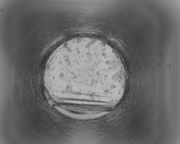 X0000083981159200703161549