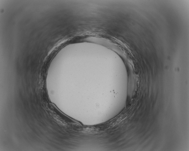 X0000083981160200703161549