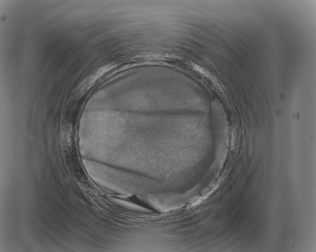 X0000083981161200703161549