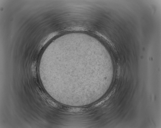 X0000083981162200703161549