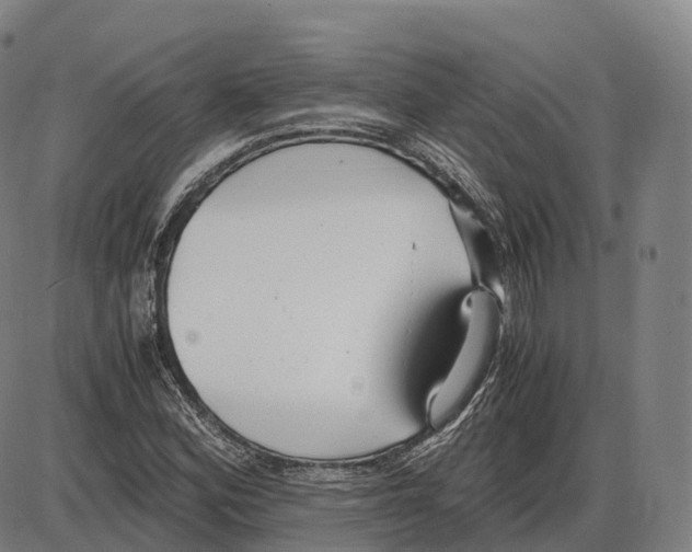 X0000083981164200703161549