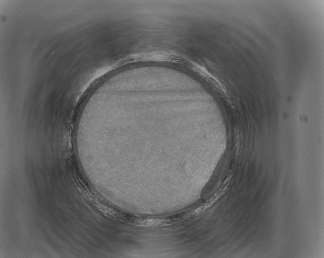 X0000083981166200703161549