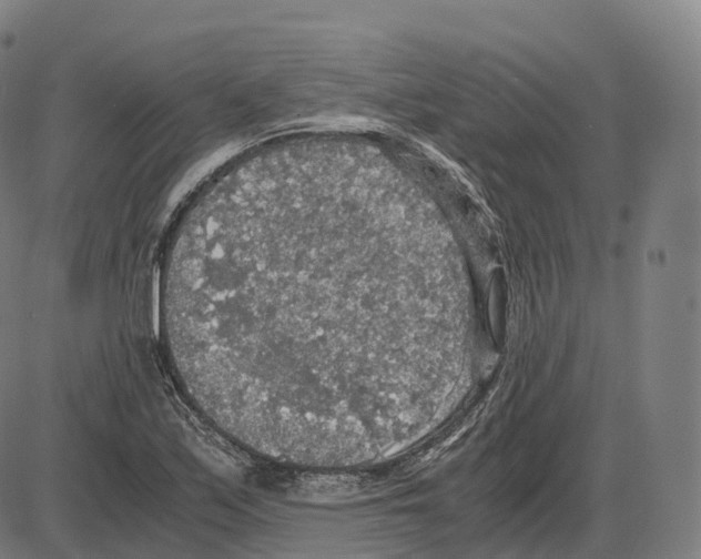 X0000083981171200703161549