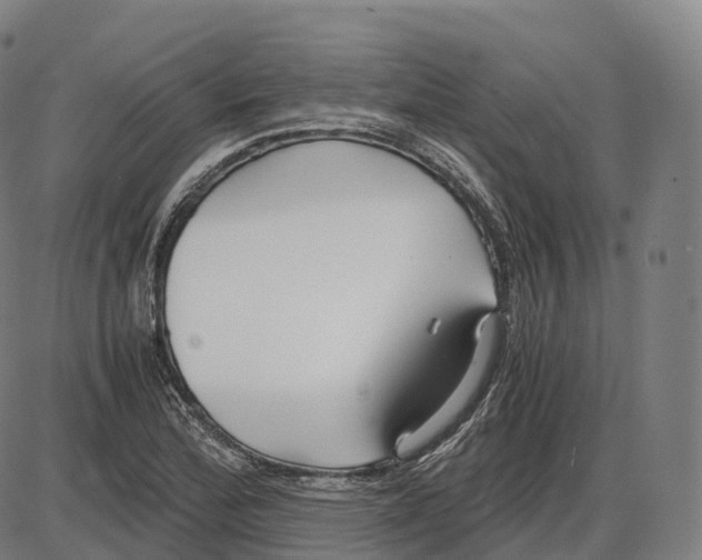 X0000083981172200703161549