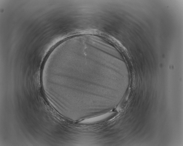 X0000083981174200703161549