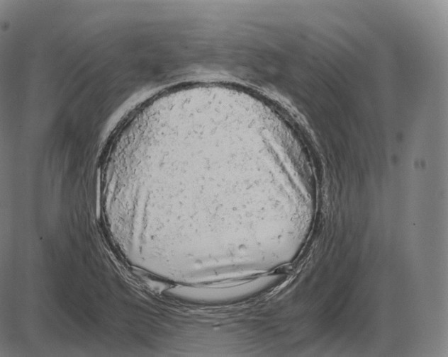 X0000083981175200703161549