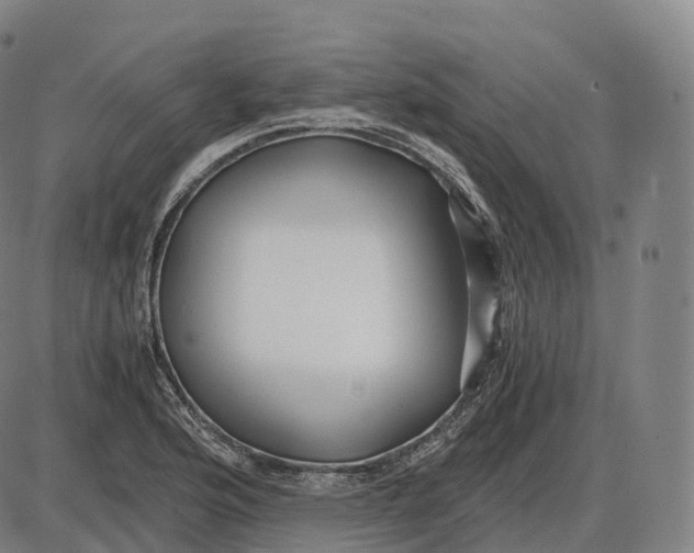 X0000083981176200703161549