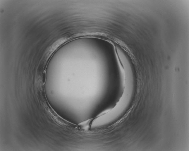 X0000083981177200703161549