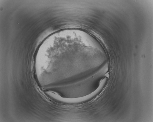 X0000083981179200703161549