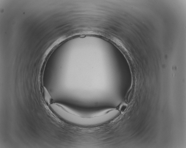 X0000083981181200703161549