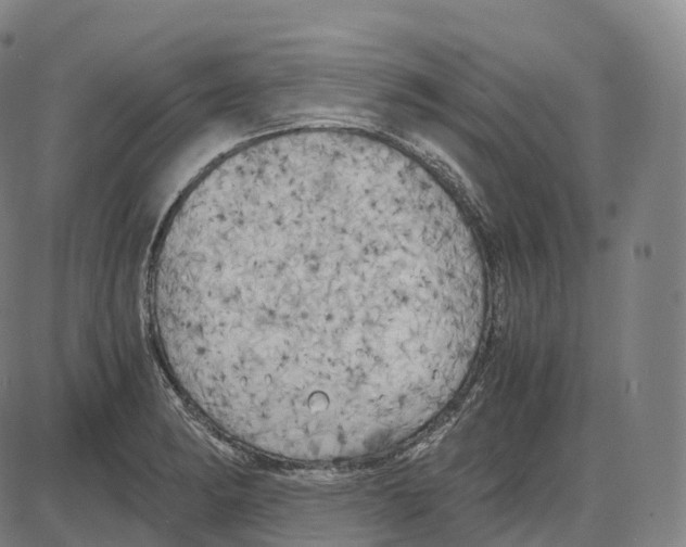 X0000083981182200703161549