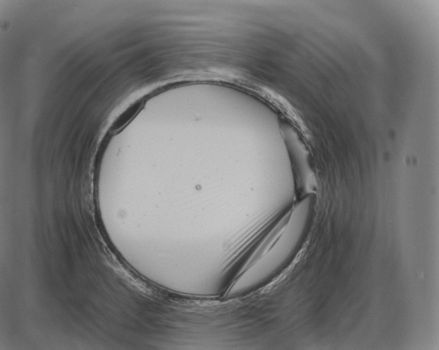 X0000083981184200703161549