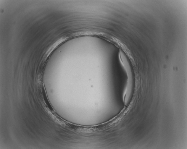 X0000083981185200703161549