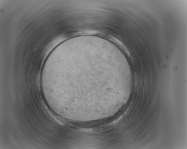 X0000083981186200703161549