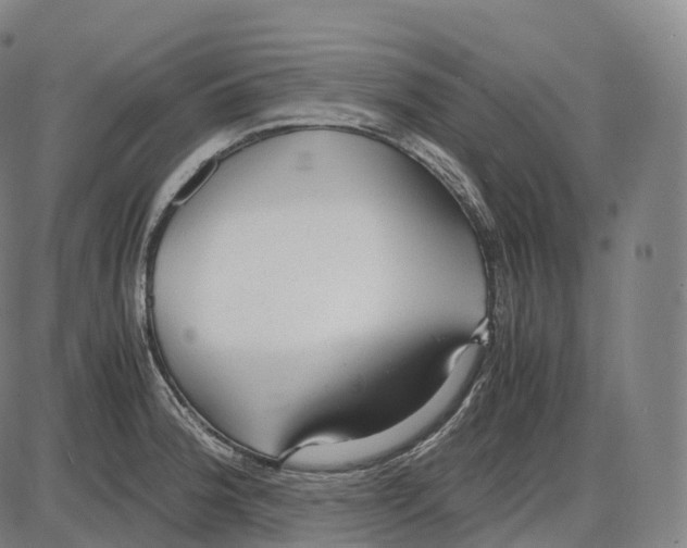 X0000083981188200703161549