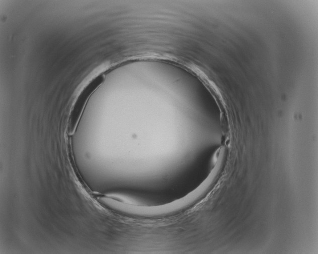 X0000083981189200703161549