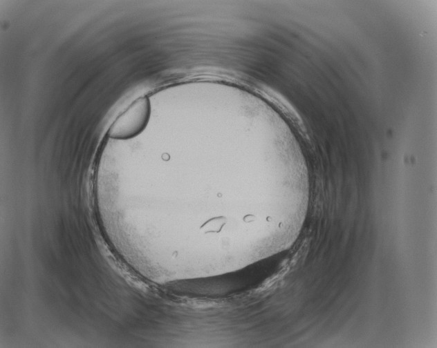 X0000083981190200703161549