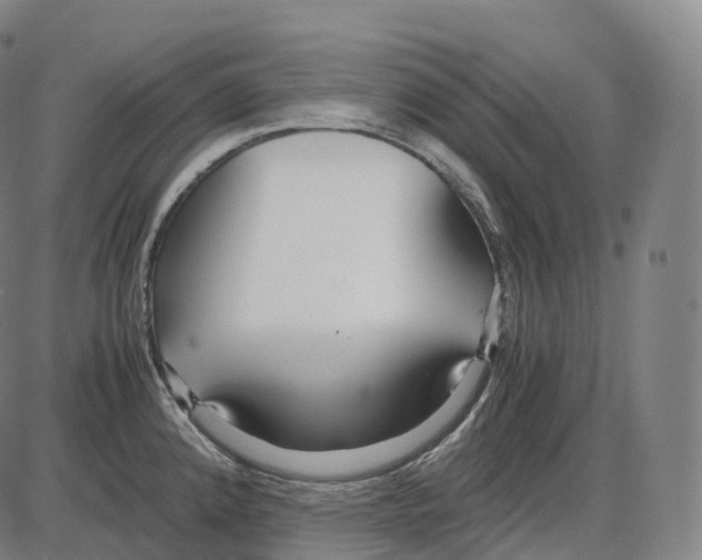 X0000083981192200703161549