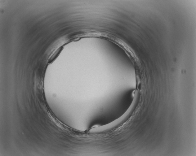 X0000083981193200703161549