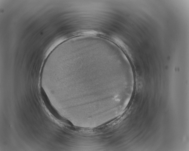 X0000083981194200703161549