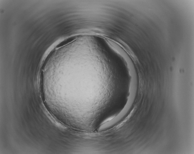 X0000083981196200703161549