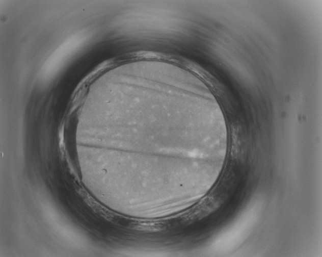 X0000083981198200703161549