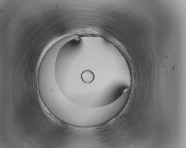 X0000083981200200703161549