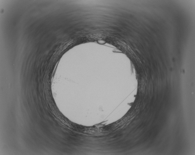 X0000083981201200703161548
