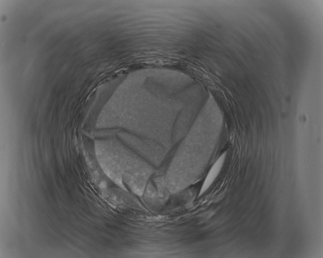 X0000083981202200703161548