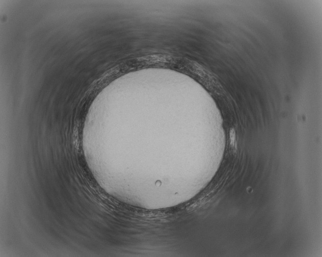 X0000083981203200703161548