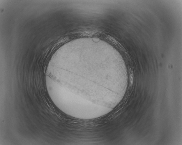 X0000083981204200703161548