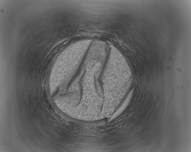 X0000083981206200703161548