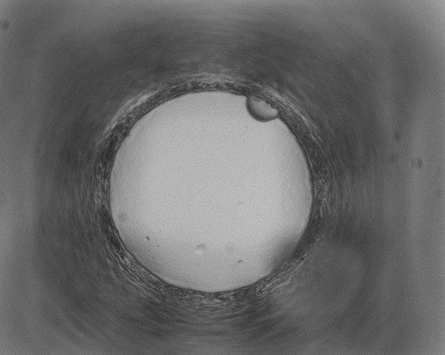 X0000083981207200703161548