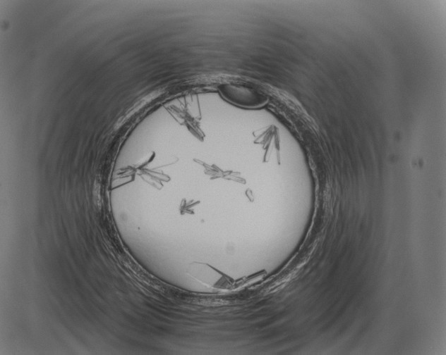 X0000083981209200703161548
