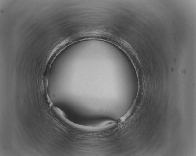 X0000083981218200703161548