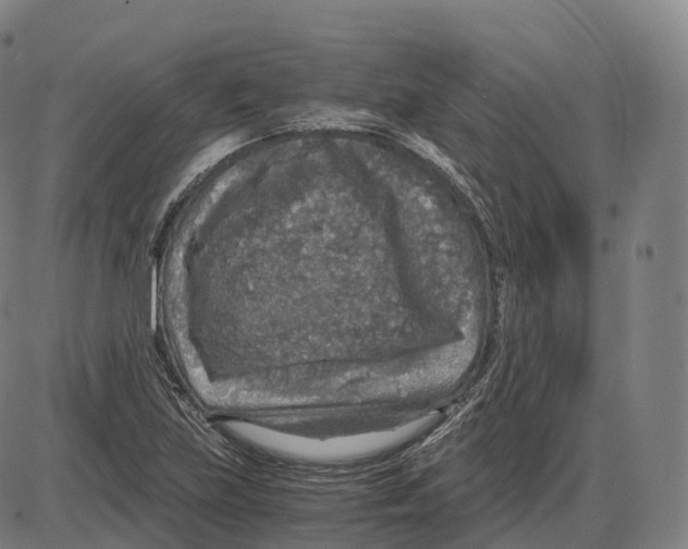 X0000083981219200703161548