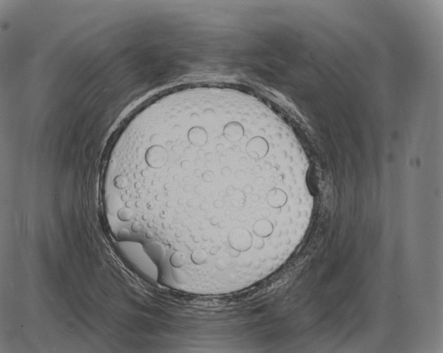 X0000083981220200703161548