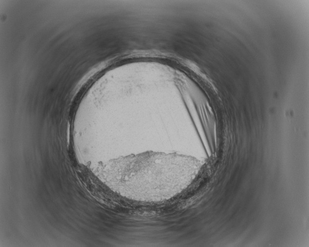 X0000083981221200703161548