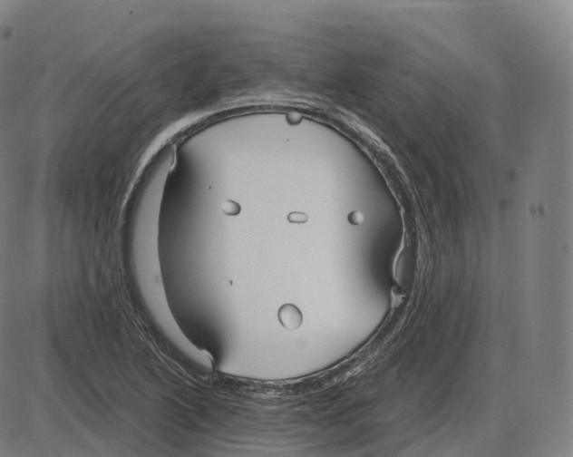 X0000083981222200703161548